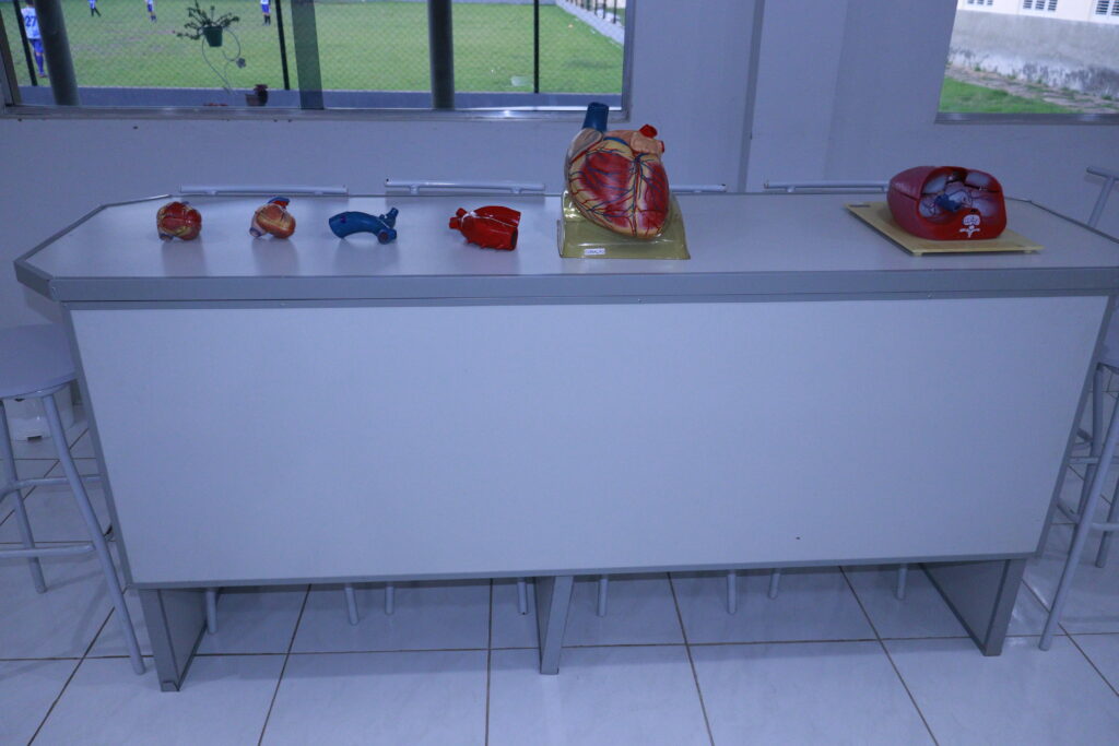 Laboratório de Anatomia e Neuroanatomia — modelos e bancadas