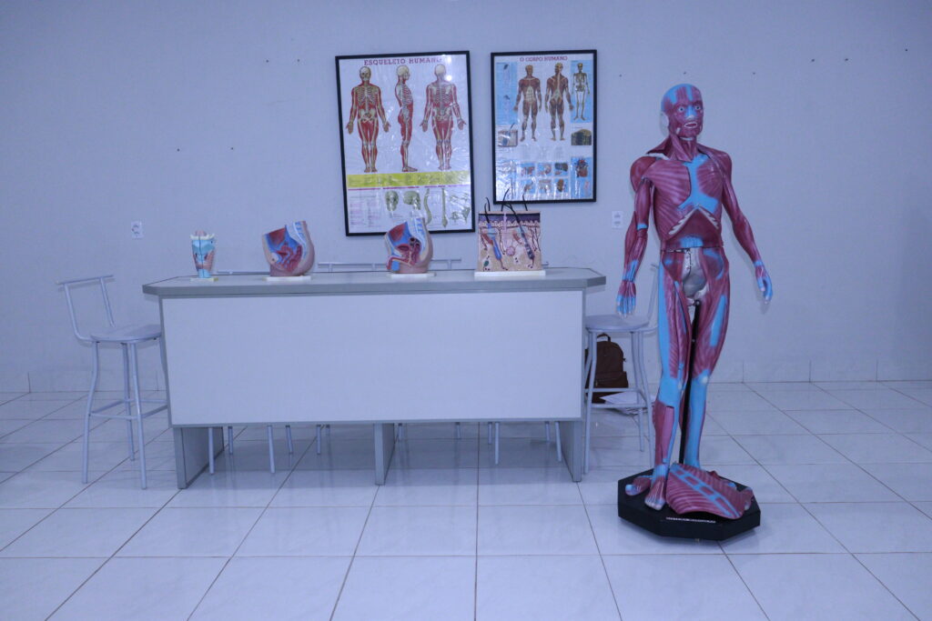 Laboratório de Anatomia e Neuroanatomia — detalhe dos modelos